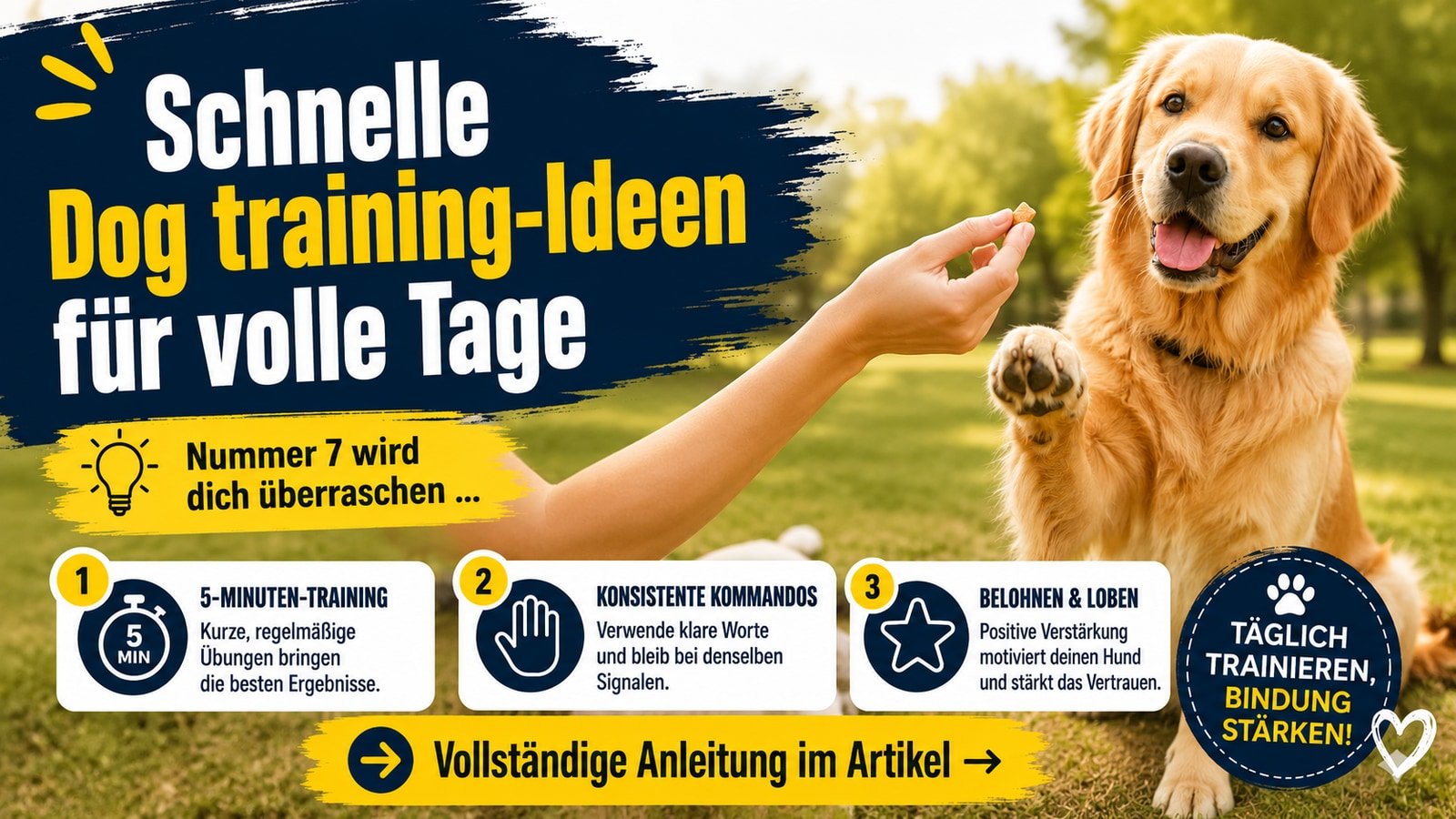 Schnelle Dog training-Ideen für volle Tage